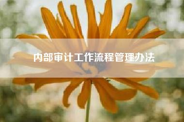 项目招投标内审谁监督谁（招投标项目审计）