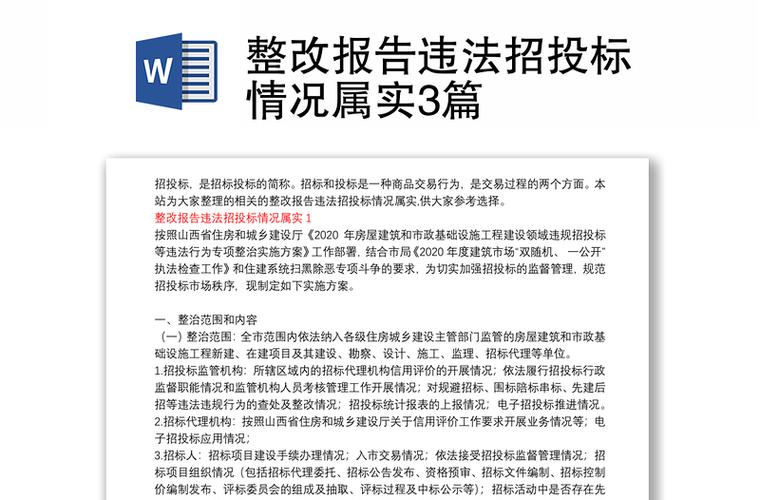 项目招投标工作整改(项目招投标工作整改报告范文)