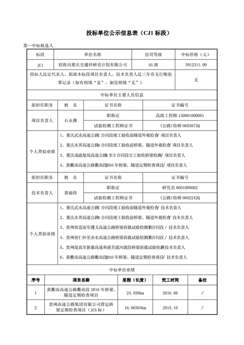公司招投标信息表(公司招投标信息表怎么填)