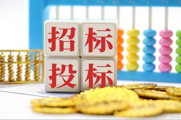 项目公司招投标(项目招投标是什么工作)