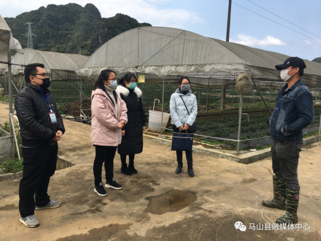 马山农业项目招投标(马山农产品中心)