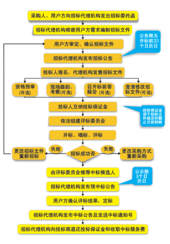 政府项目 招投标流程(政府项目招投标流程图)