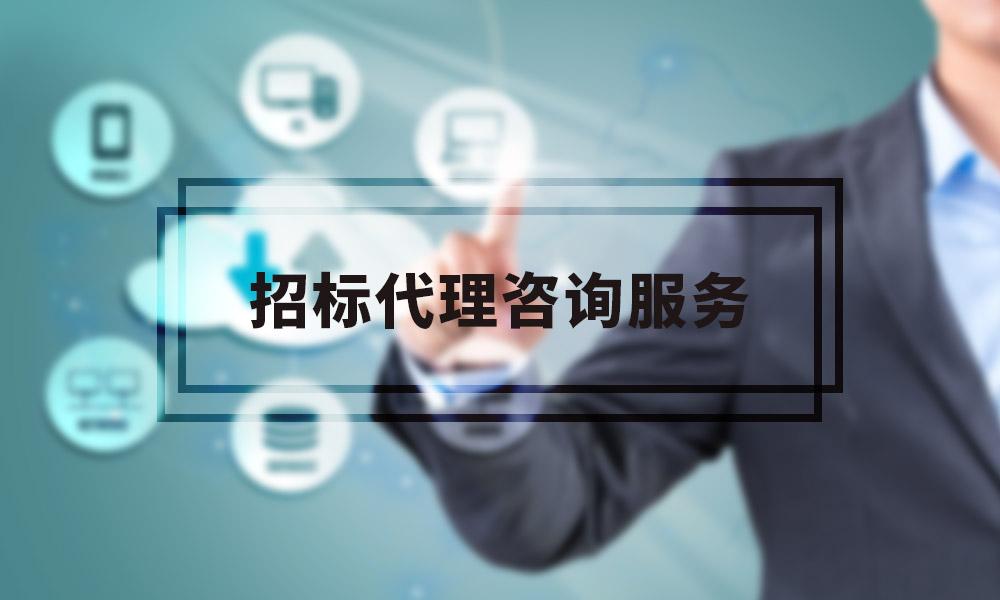 嘉鱼招投标代理公司(北京招投标代理公司)