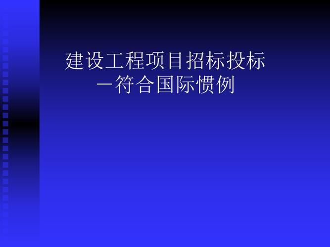 招投标项目建设方面(招投标项目建设方面的建议)