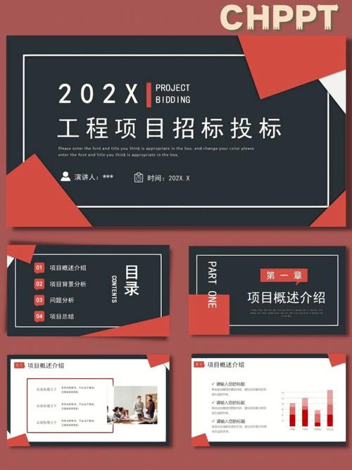 项目招投标.ppt(项目招投标ppt)