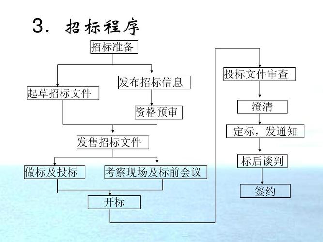 政府投资项目招投标开标证（政府招标开标流程）
