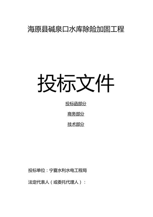 海安招投标文件模板(海安招投标文件模板下载)