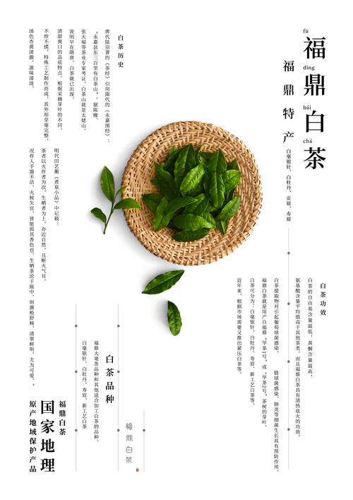 施湾村白茶项目招投标（施湾村白茶项目招投标公告）