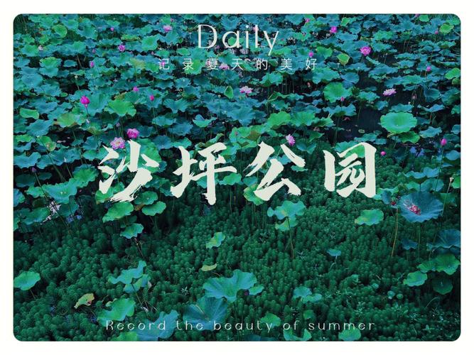 沙坪公园招投标公告（沙坪公园管理中心）
