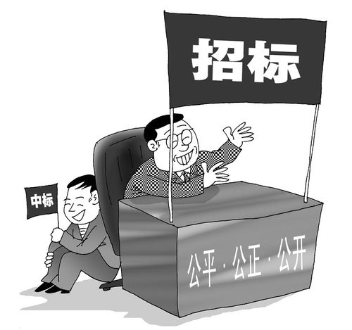 借用他人信息招投标(借用他人名义招投标)