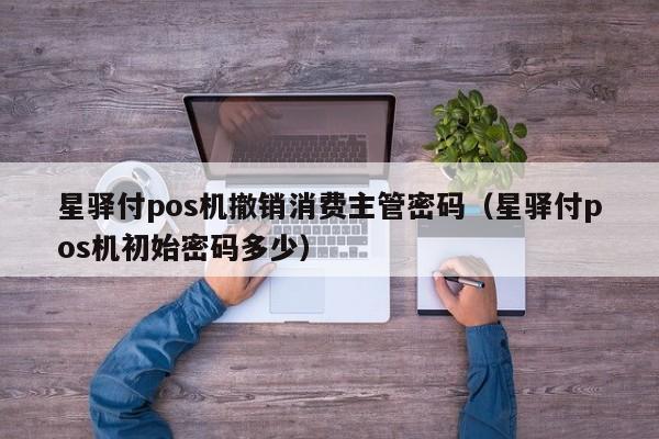 星驿付pos机撤销消费主管密码（星驿付pos机初始密码多少）