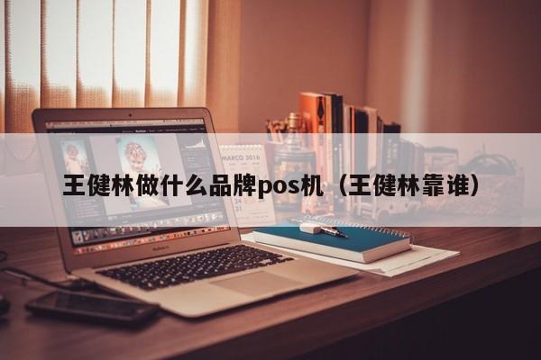 王健林做什么品牌pos机（王健林靠谁）