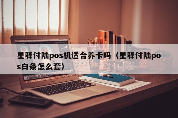 星驿付陆pos机适合养卡吗（星驿付陆pos白条怎么套）