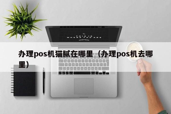 办理pos机猫腻在哪里（办理pos机去哪里）