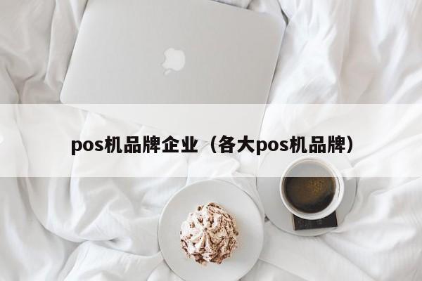 pos机品牌企业（各大pos机品牌）