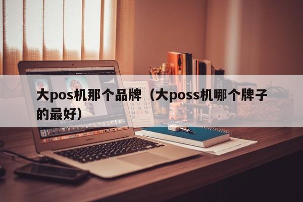 大pos机那个品牌（大poss机哪个牌子的最好）
