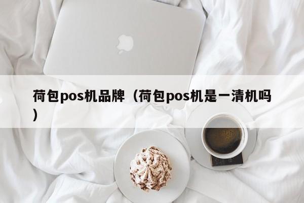 荷包pos机品牌（荷包pos机是一清机吗）