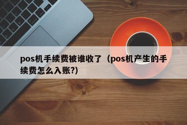 pos机手续费被谁收了（pos机产生的手续费怎么入账?）