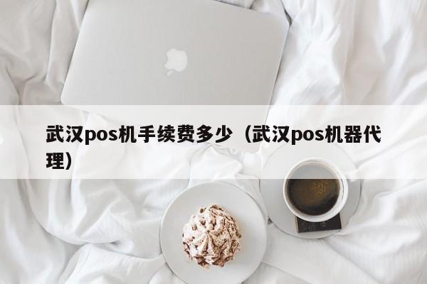 武汉pos机手续费多少（武汉pos机器代理）