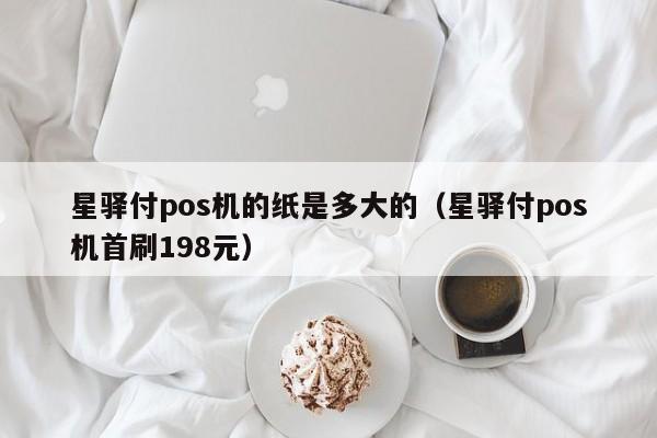 星驿付pos机的纸是多大的（星驿付pos机首刷198元）