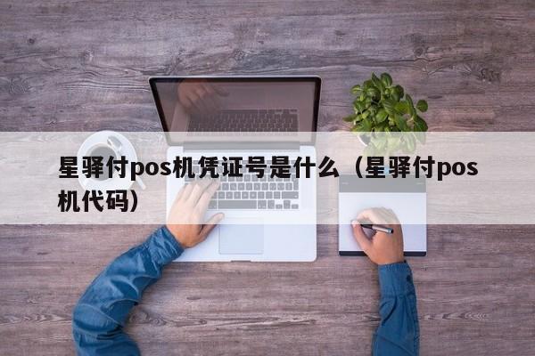 星驿付pos机凭证号是什么（星驿付pos机代码）