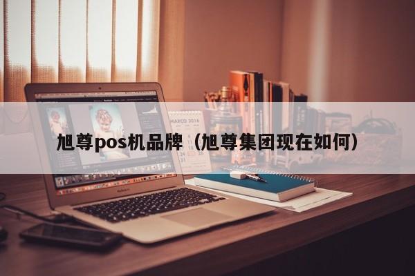 旭尊pos机品牌（旭尊集团现在如何）
