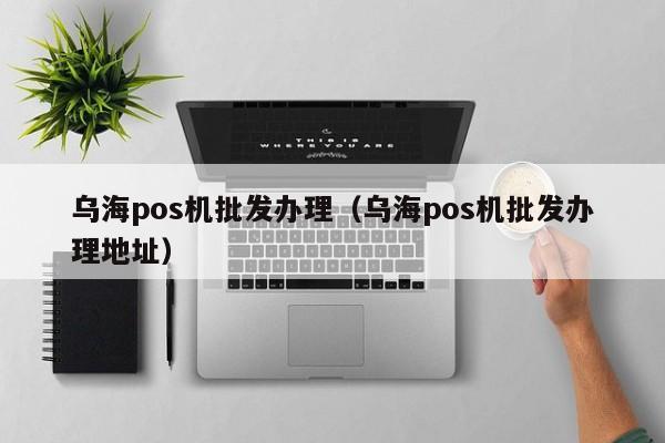 乌海pos机批发办理（乌海pos机批发办理地址）