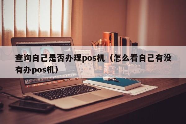 查询自己是否办理pos机（怎么看自己有没有办pos机）