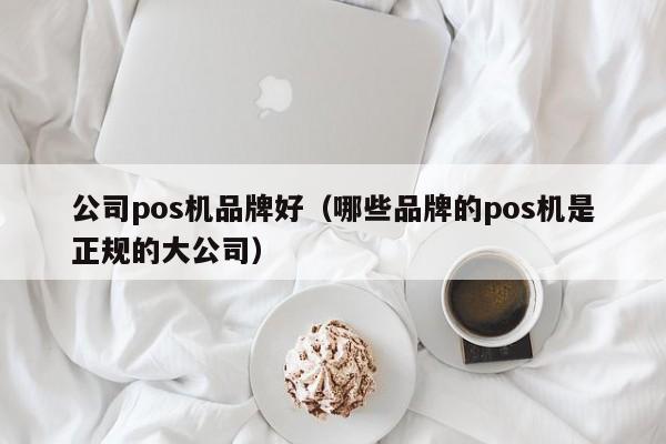 公司pos机品牌好（哪些品牌的pos机是正规的大公司）