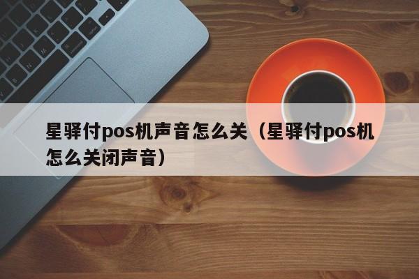 星驿付pos机声音怎么关（星驿付pos机怎么关闭声音）