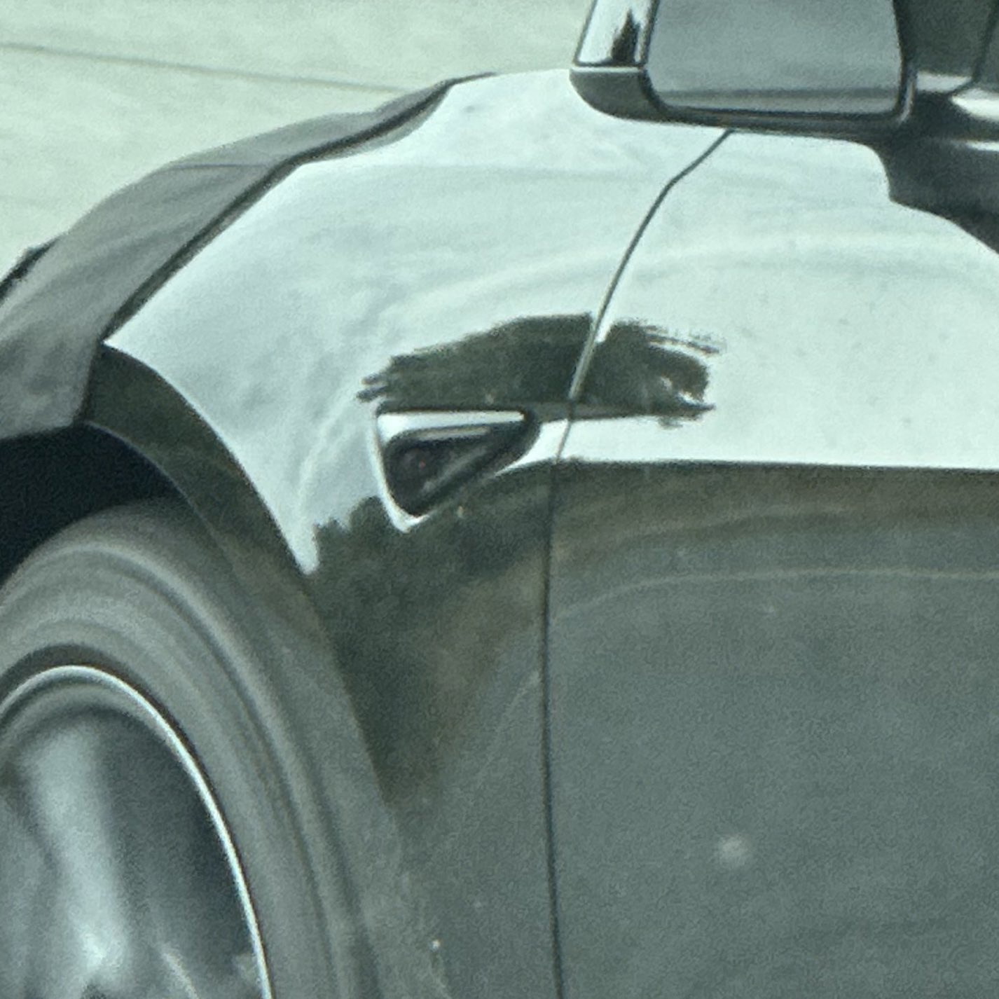 改款特斯拉 Model 3 实车再次现身：全新前大灯确认，尾部有扩散器