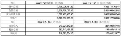 海南海德资本管理股份有限公司关于为全资子公司融资提供担保的进展公告